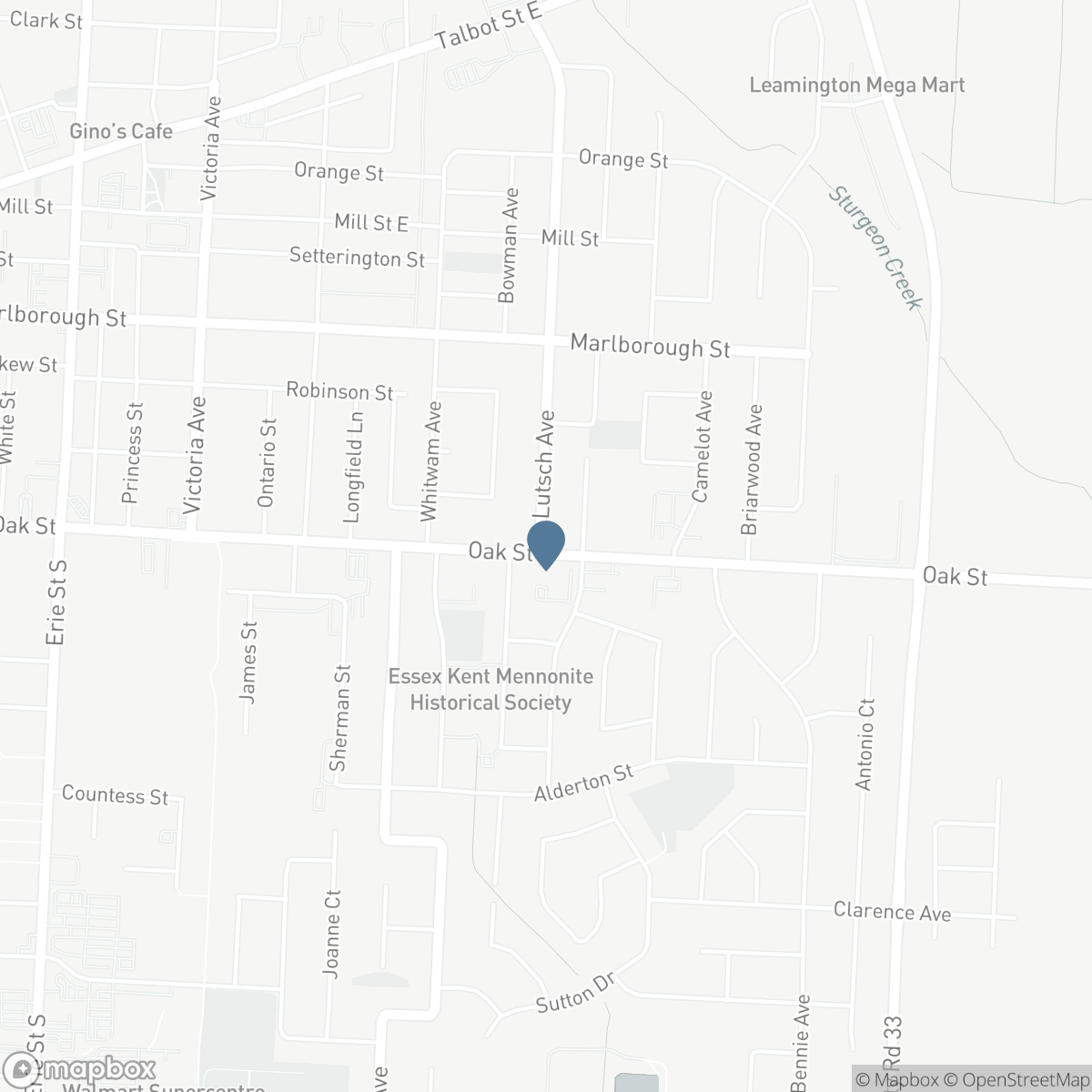 85 Lutsch AVENUE, Leamington, Ontario N8H 2N5